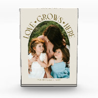 Love Grows Here Modern Arch Cream