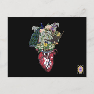 Love Grows Postcard