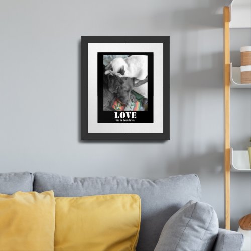 Love Has No Boundaries Cat Dog Photograph Framed Art