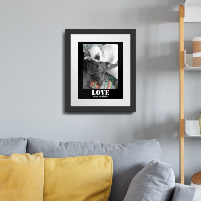 Love Has No Boundaries Cat Dog Photograph Framed Art (Living Room 3)