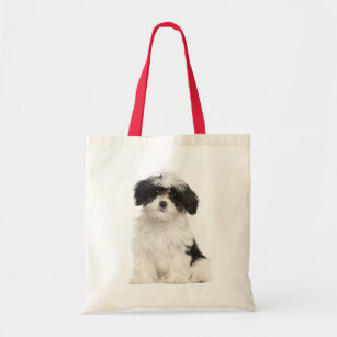 havanese gifts