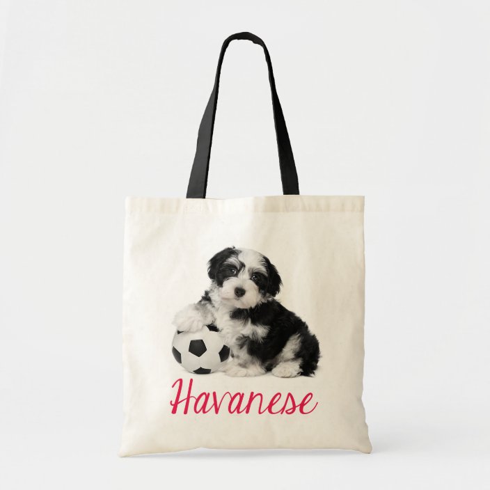Canvas Shopping Tote Bag Love Hearts English Coonhound Dog English Coonhound Beach Bags for Women