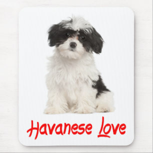 Love Havanese Puppy Dog Mousepad