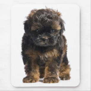 Love Havanese Puppy Dog Mousepad