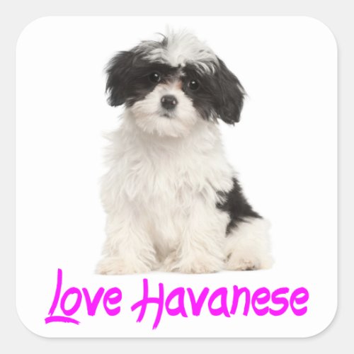 Love Havanese Puppy Dog Sticker