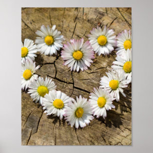 Love Heart Daisies Poster