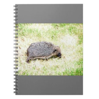 Love Hedgehogs Notebook