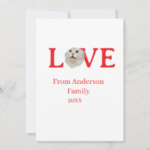 Love holidays cat photo pet family name bold lette invitation