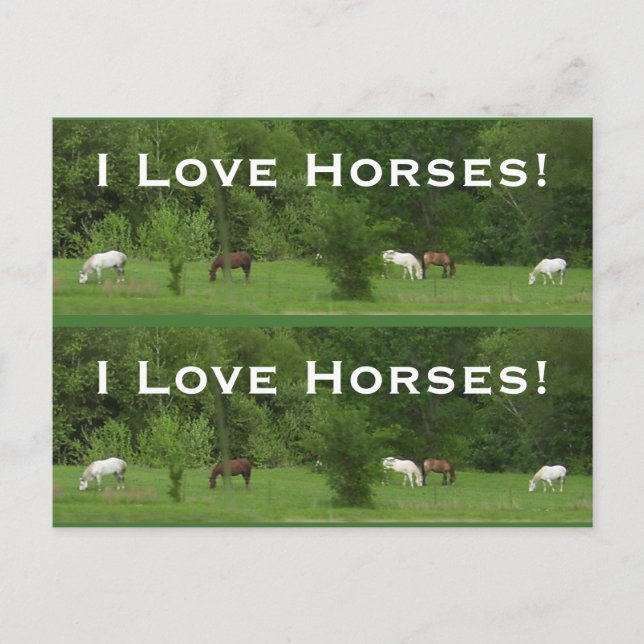 Love Horses! Bookmarkers - Customize! Postcard (Front)