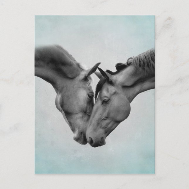 Love Horses Postcard (Front)