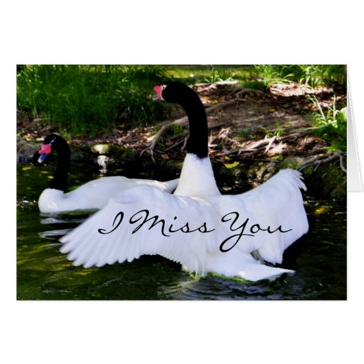 Love & Hugs_ (Front Horizontal)