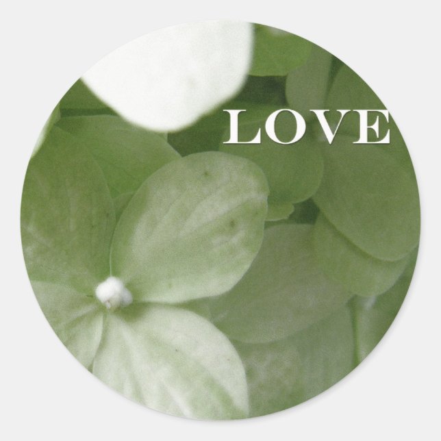 love hydrangea classic round sticker (Front)