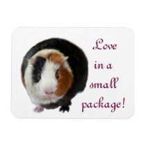 Love In A Small Package Magnet