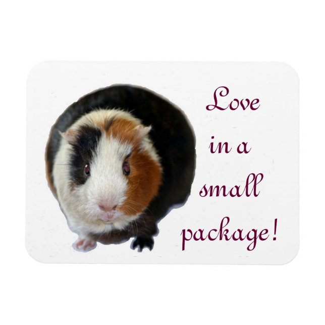 Love In A Small Package Magnet (Horizontal)