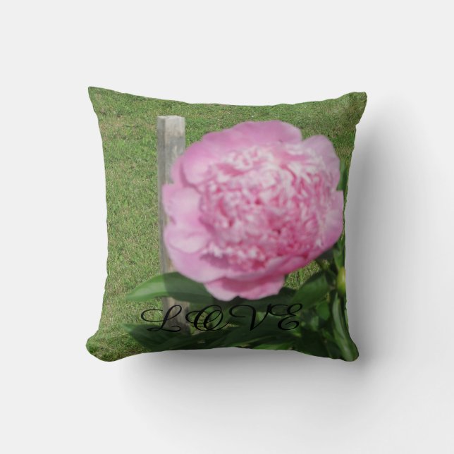 Love in Life Throw Pillow (Front)