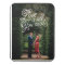 Love in the Air Photo Print