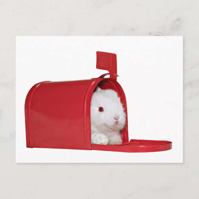 Love in the mail postcard (Front)