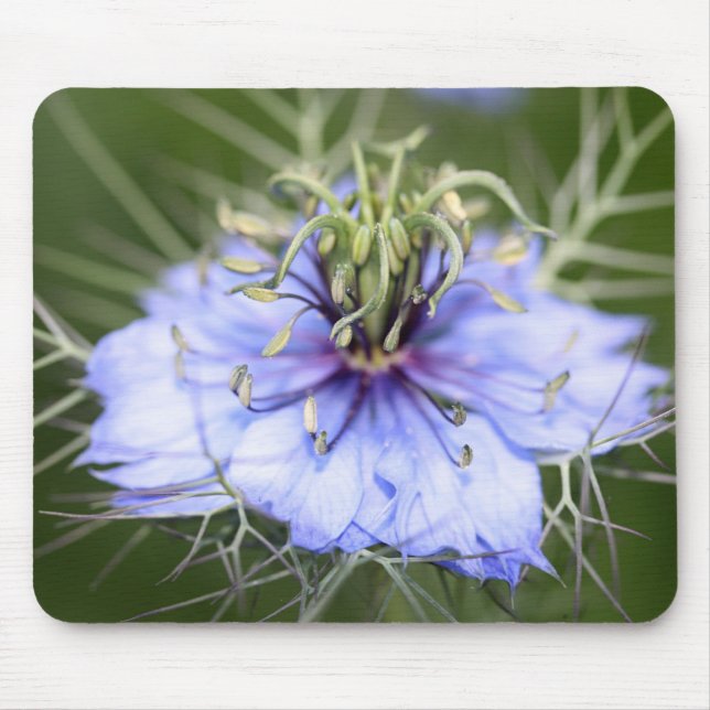 Love in the Mist flower Mousepad (Front)