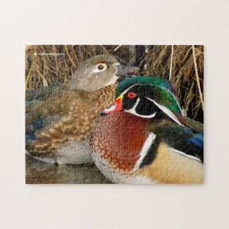 Love in the Reeds: A Pair of Wood Ducks Gets Cozy Jigsaw Puzzle