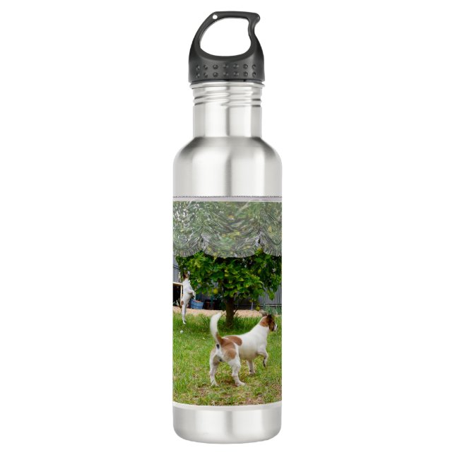 Love Is A Fox Terrier,   Stainless Steel Water Bottle (Front)