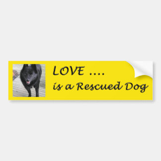 Love Is A Rescued Dog Bumper Sticker