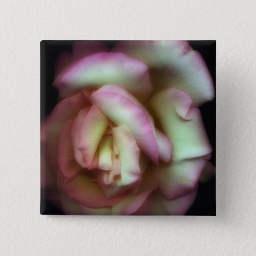 Love is a Rose by Nathan Griffith Button