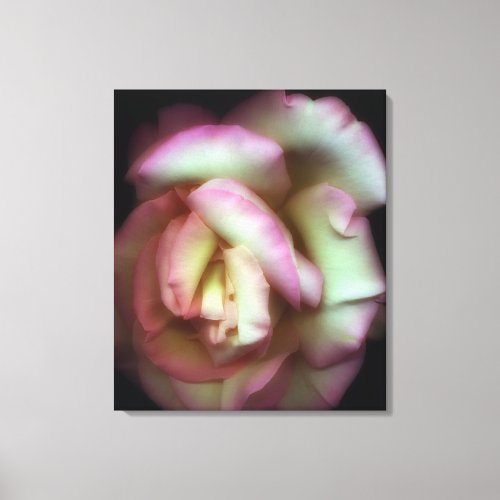 Love is a Rose by Nathan Griffith Canvas Print