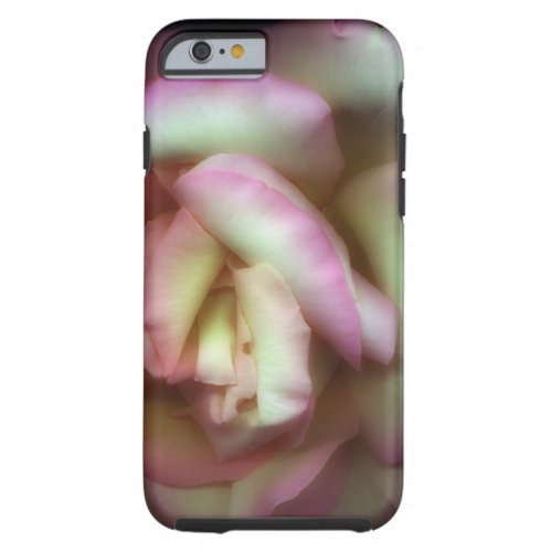 Love is a Rose by Nathan Griffith Tough iPhone 6 Case