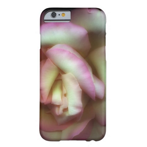 Love is a Rose by Nathan Griffith Barely There iPhone 6 Case