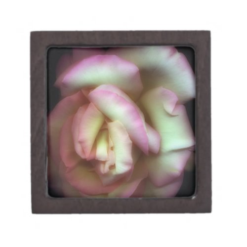 Love is a Rose by Nathan Griffith Gift Box