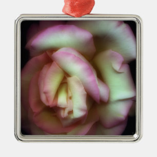 <Love is a Rose> by Nathan Griffith Metal Ornament