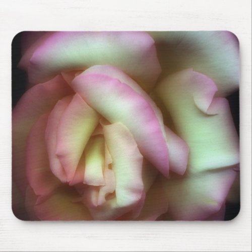 Love is a Rose by Nathan Griffith Mouse Pad