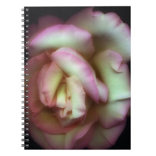 Love is a Rose by Nathan Griffith Notebook