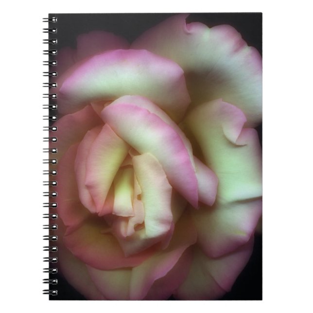 <Love is a Rose> by Nathan Griffith Notebook (Front)