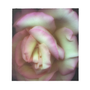 <Love is a Rose> by Nathan Griffith Notepad