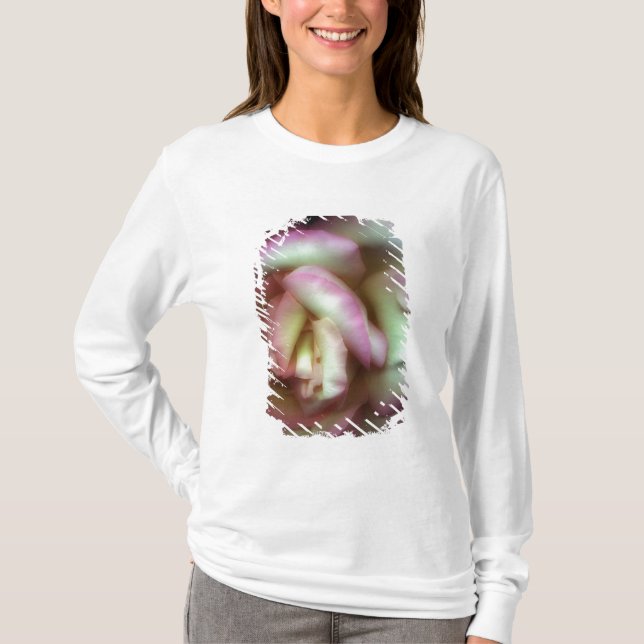 <Love is a Rose> by Nathan Griffith T-Shirt (Front)