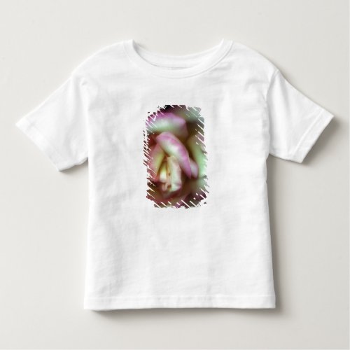Love is a Rose by Nathan Griffith Toddler T_shirt