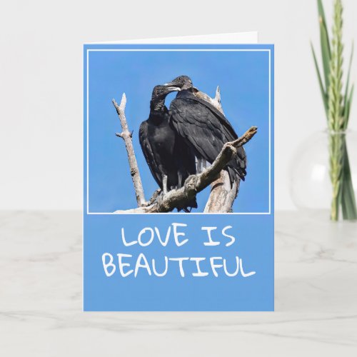  Love Is Beautiful Vultures  Folded Holiday Card