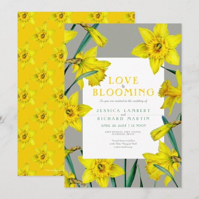 Love is blooming spring yellow daffodils wedding invitation (Front/Back)