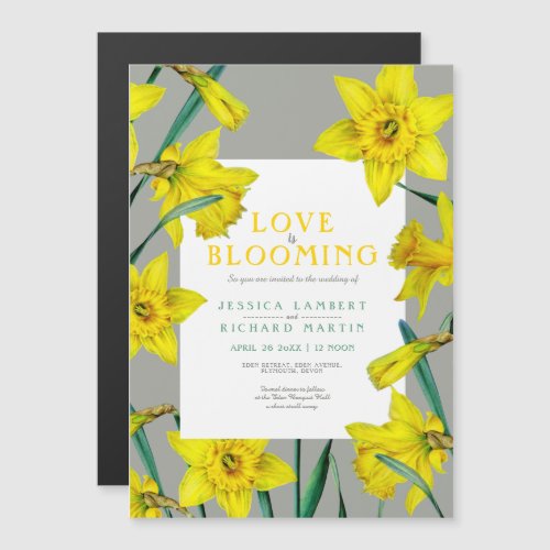 Love is blooming spring yellow daffodils wedding magnetic invitation