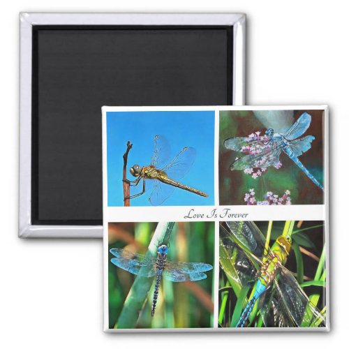 Love Is Forever Artistic Dragonfly Collage Magnet