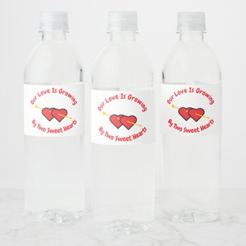 Love Is Growing By Two Hearts Twins Water Bottle Label