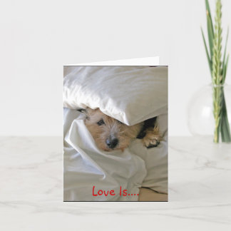 Love Is.... Holiday Card