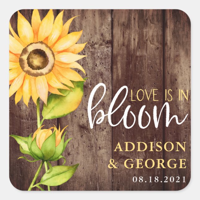 Love Is In Bloom Sunflower Rustic Wedding Favor Square Sticker (Front)