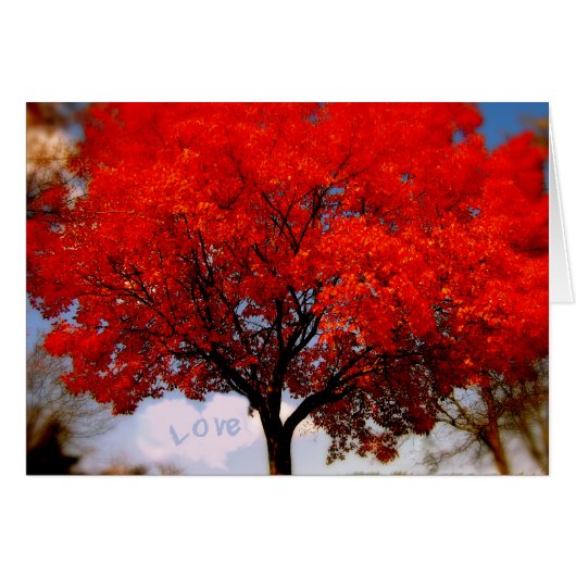 Love is in the air... (Front Horizontal)