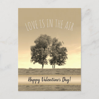 Love is in the Air (customizable) Holiday Postcard