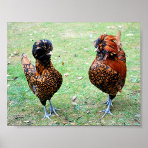 Love is in the Air Poster