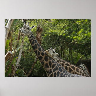 Love Is In The Air Poster