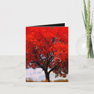 Love is in the air... thank you card