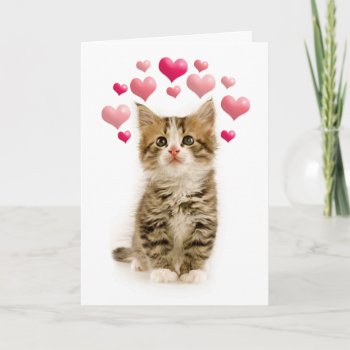 Love Is In The Air Valentine Holiday Card by lamessegee at Zazzle